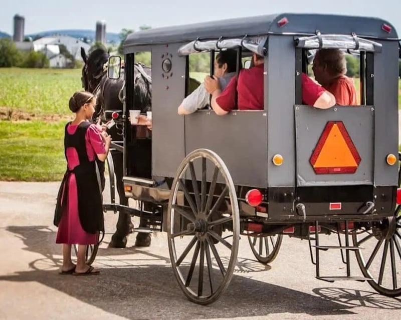 Private Amish Farmland Buggy Ride in Bird in Hand