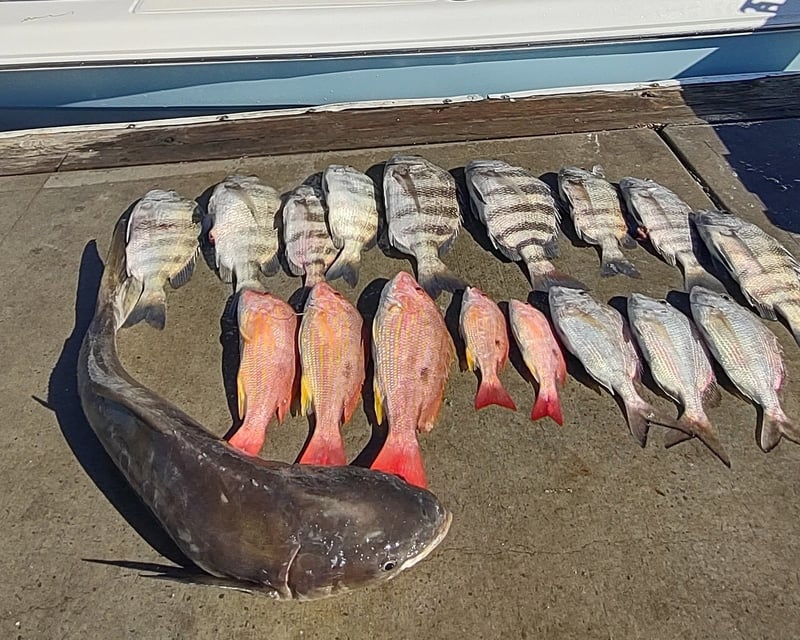 Offshore Reef & Wreck Fishing Charter in New Smyrna Beach