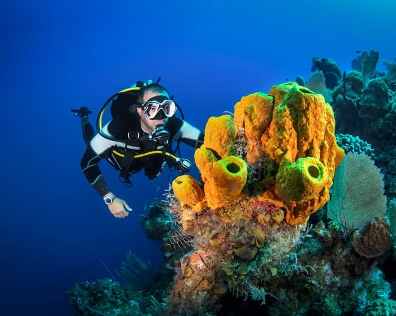 2-Tank Guided Dive in Fajardo Reefs