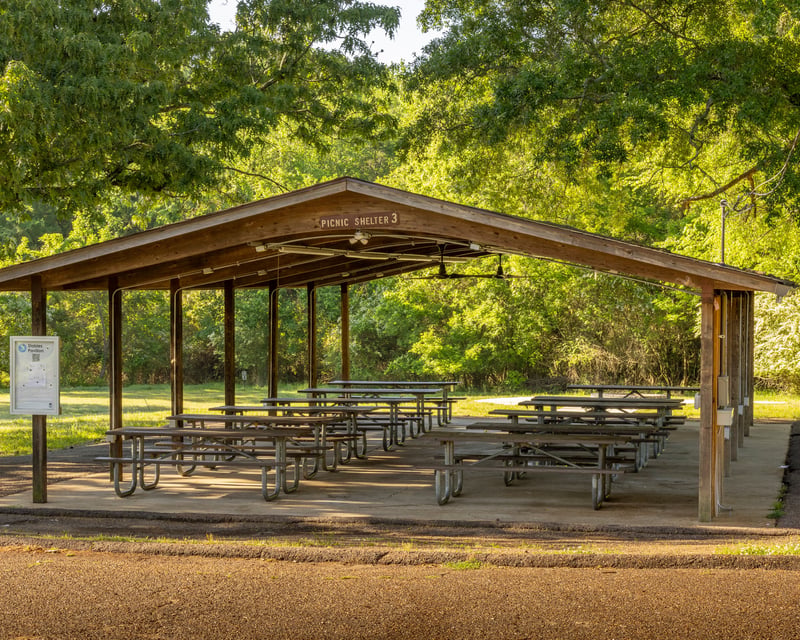 Host a Half-Day Pavilion Rental at Shelby Farms