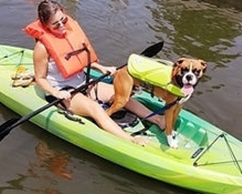 Dog River Kayak Rental in Mobile