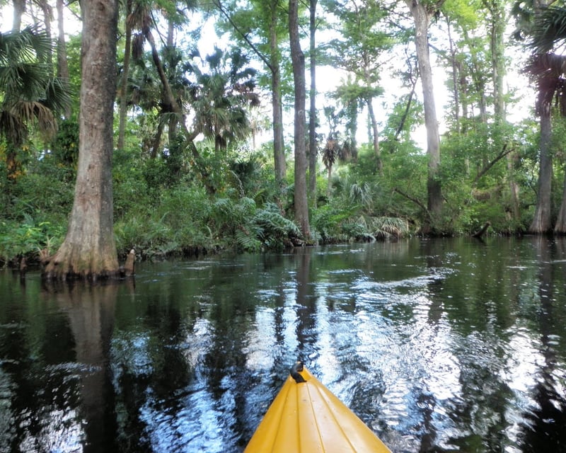Loxahatchee River Kayak & Bike Combo at Riverbend Park