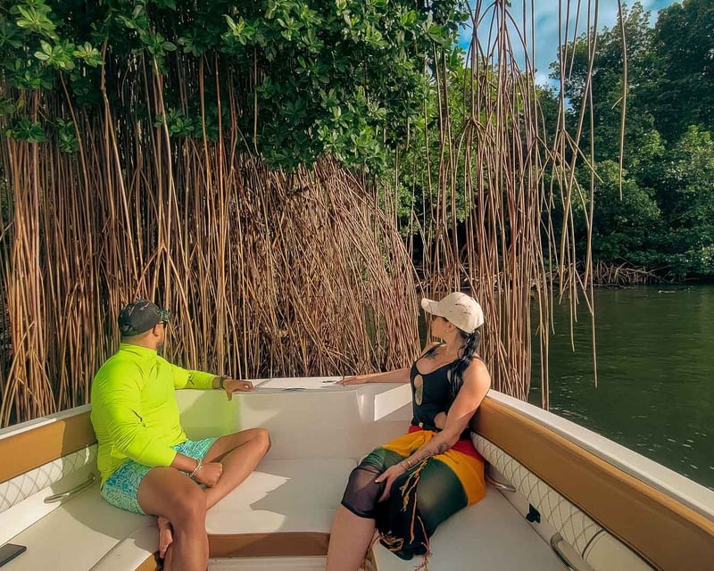 Mangrove Channel & Lagoon Boat Tour in Carolina, Puerto Rico