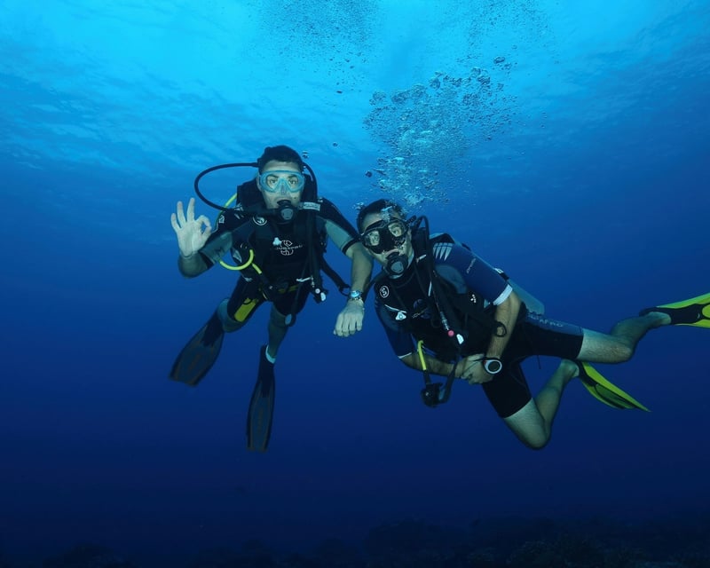 4-Hour Inshore Dive in Pensacola
