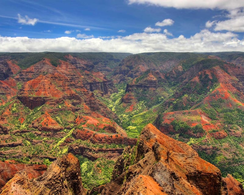 Private Waimea Canyon & South Shore Tour on Kauai
