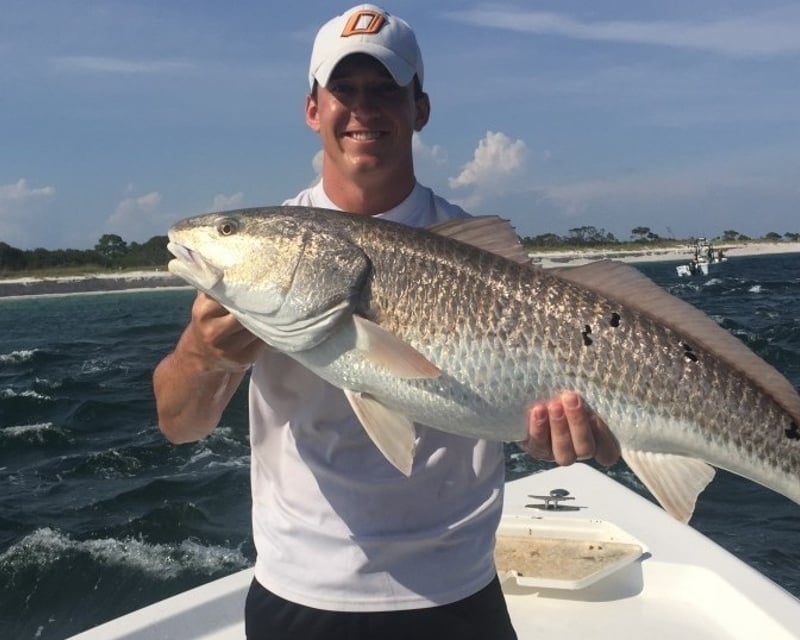 4-Hour Fishing & Sightseeing Charter Around Shell Island