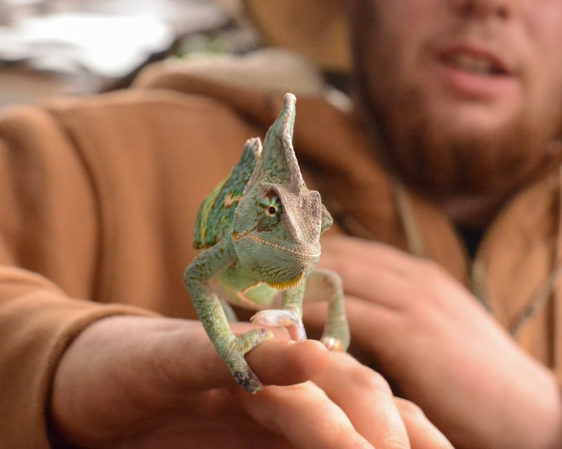 Santa Ysabel Guided Farm Tour