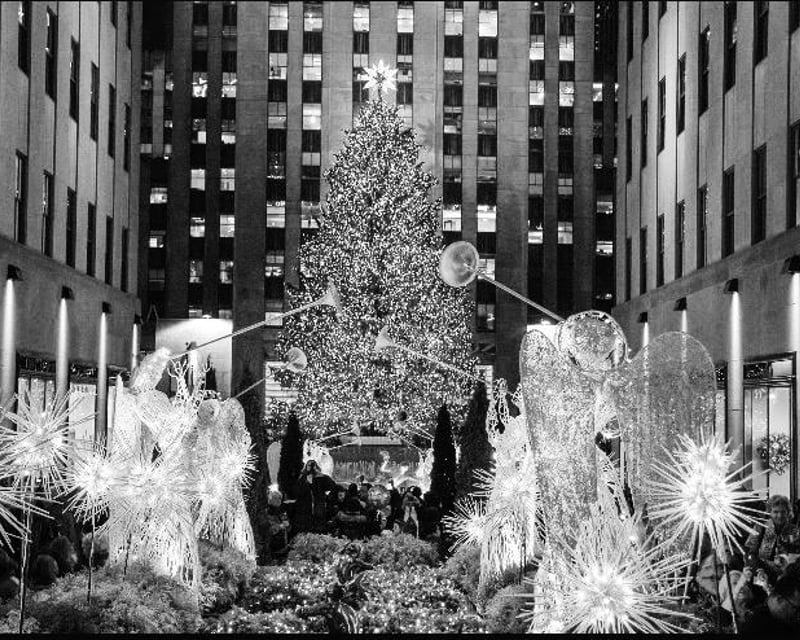 Private Christmas Lights & Holiday Windows Tour in NYC