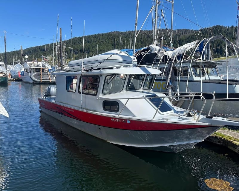 3-Hour Whale Watching Tour at Icy Strait Point