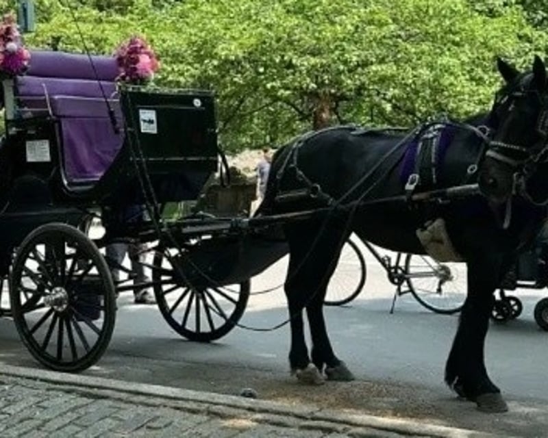 Central Park Horse-Drawn Carriage Tour
