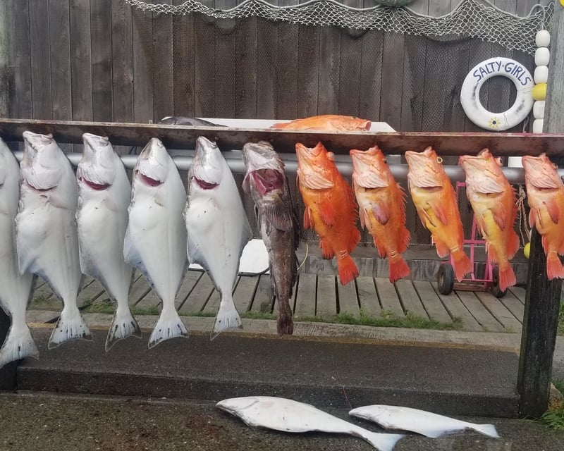 Homer Multispecies Fishing Charter