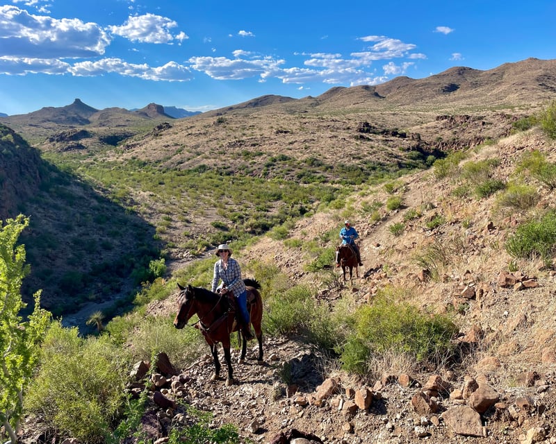 Mesa Horseback Ride Near Big Bend Ranch State Park