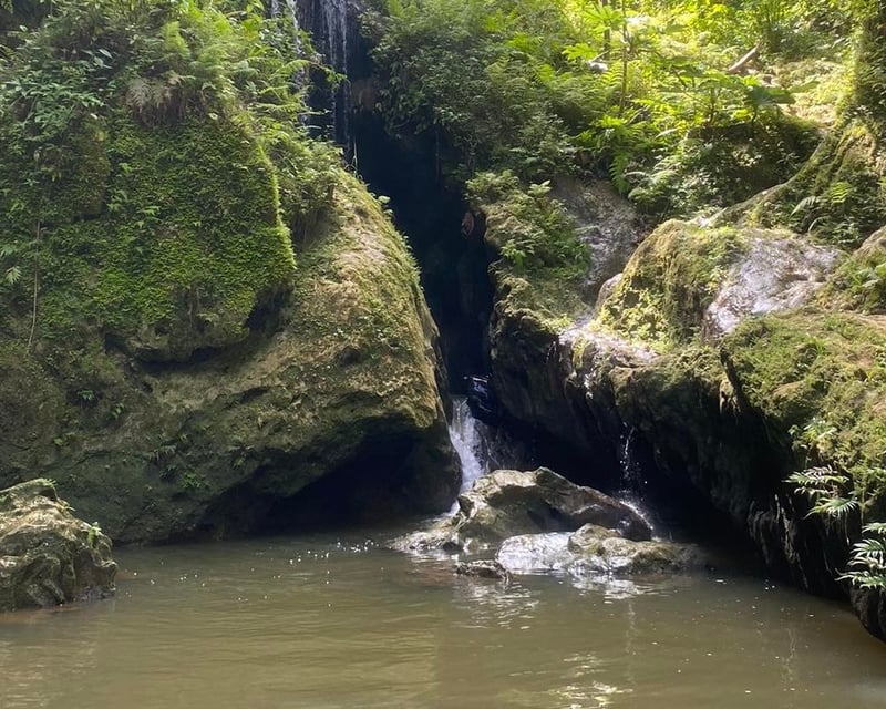 Cave Swimming & River Tour from Fajardo, Puerto Rico