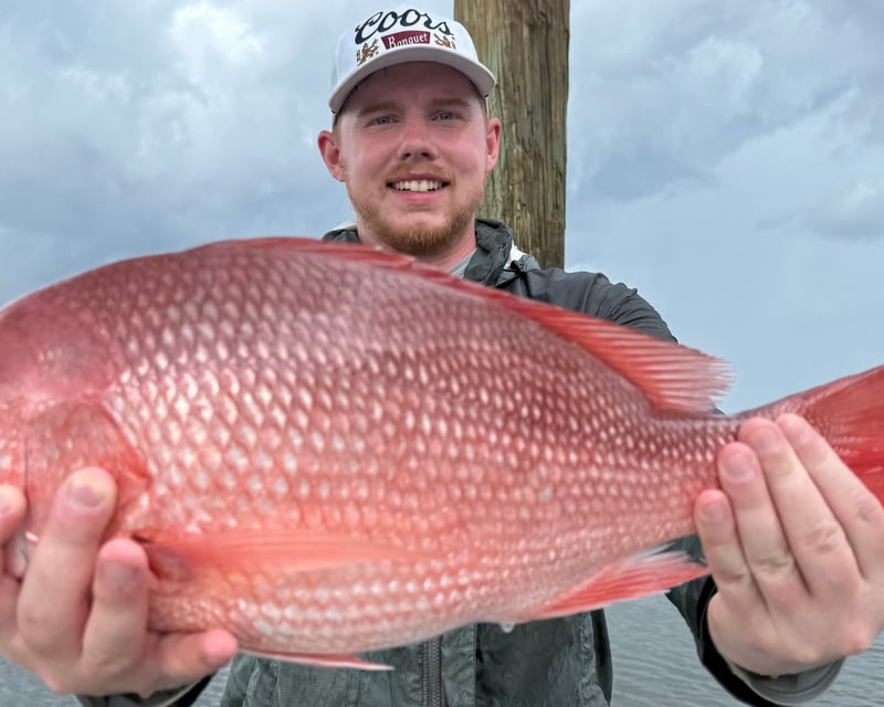 50-Mile Offshore Fishing Charter From Wilmington Island