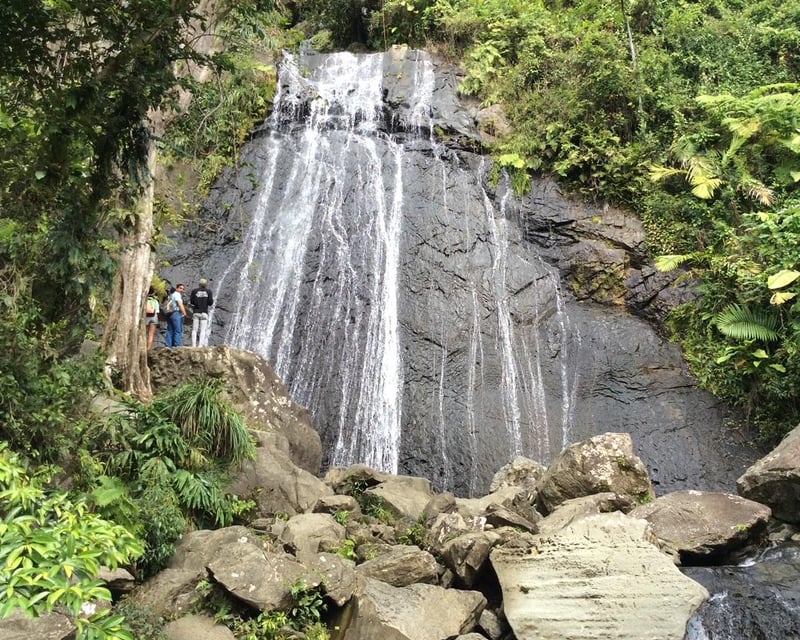 El Yunque Rainforest Hike & Waterfall Tour from San Juan