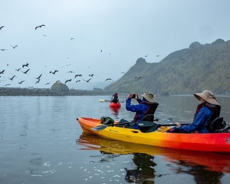 Guided Russian River Estuary Kayak Tour