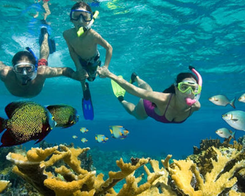 4-Hour Snorkeling Trip in Deerfield Beach