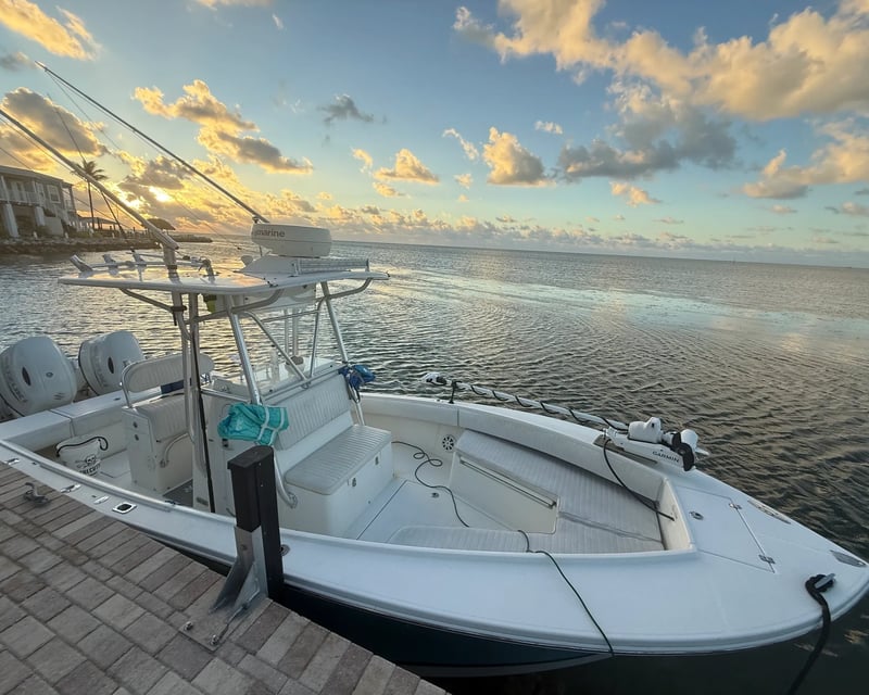 4-Hour Fishing Charter in Frisco