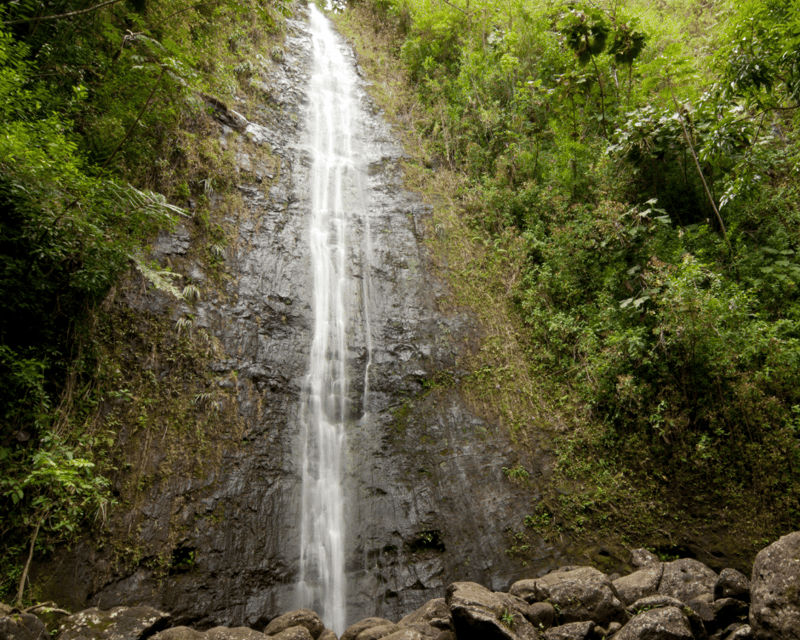 Diamond Head & Manoa Falls Hiking Tour in Honolulu