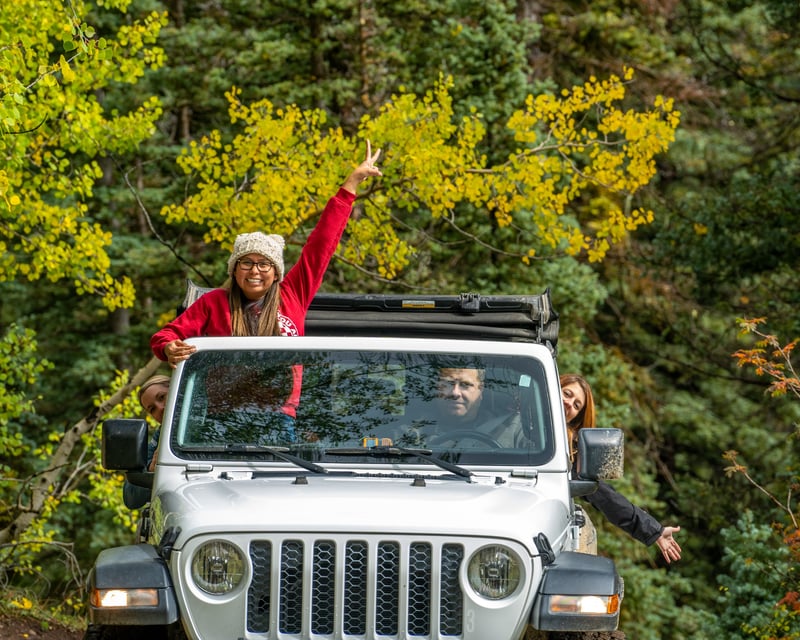 Take a Private Jeep Trail Tour in La Plata Canyon