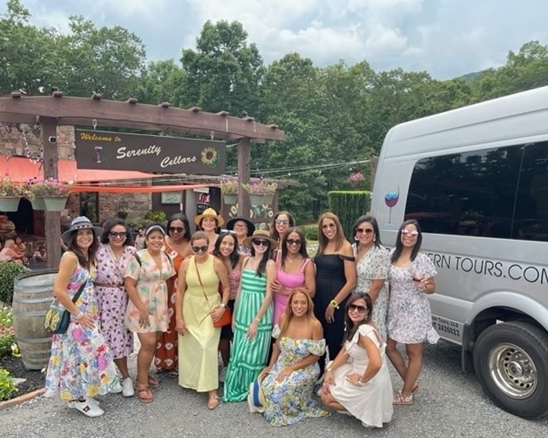 Private North Georgia Wine Country Tour from Helen
