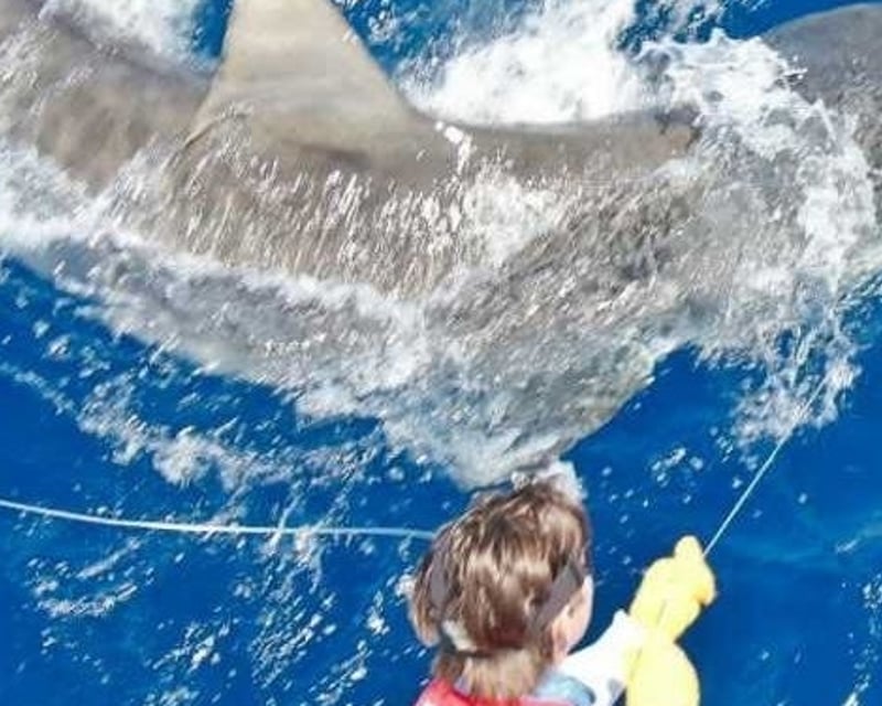 Private Shark Fishing Charter in Panama City Beach