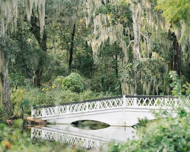 Magnolia Plantation & Gardens 4.5-Hour Tour