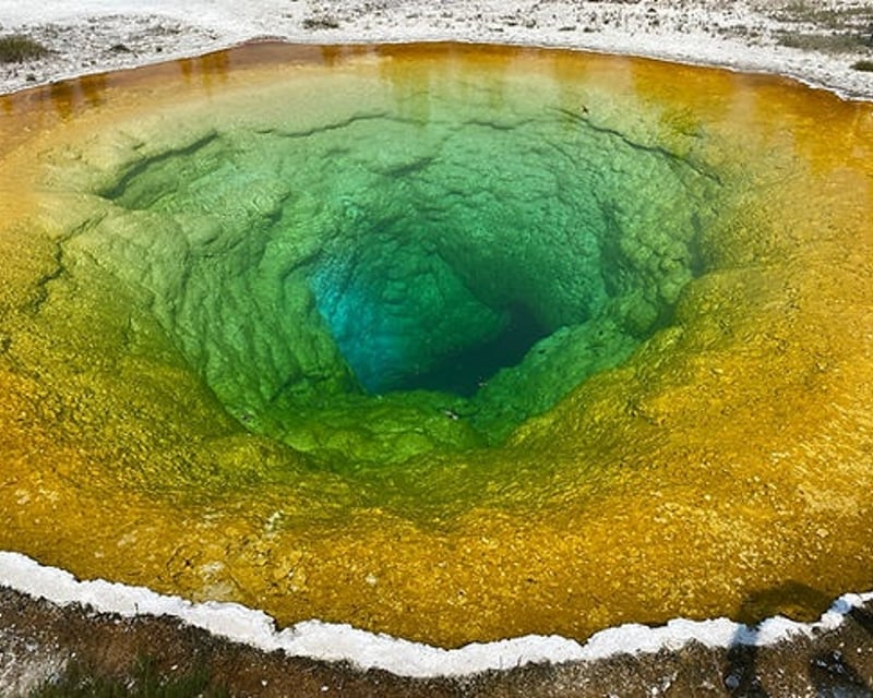 Full-Day Yellowstone National Park Wildlife Tour