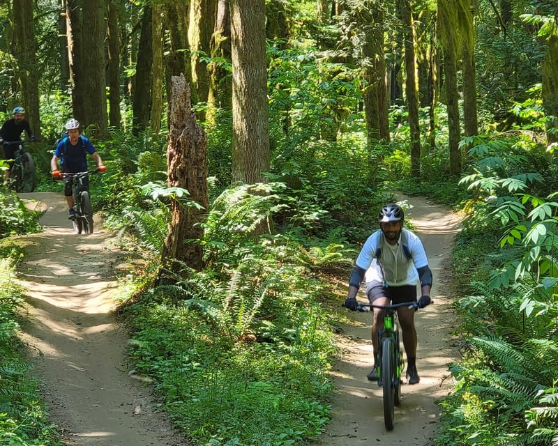 Half-Day Guided Mountain Bike Tour from Seattle