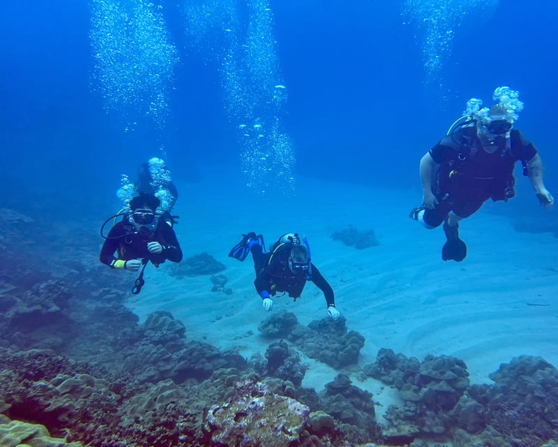 1-Tank Shore Dive at Wai'olena Beach in Hilo