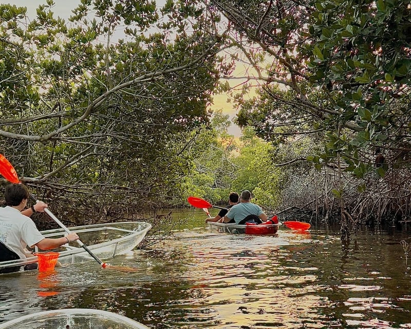 Guided Clear Kayak Tour of Anna Maria Island Sound