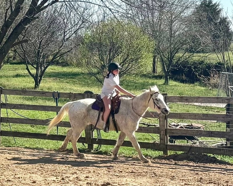 Western Riding Lesson in Fountain Run