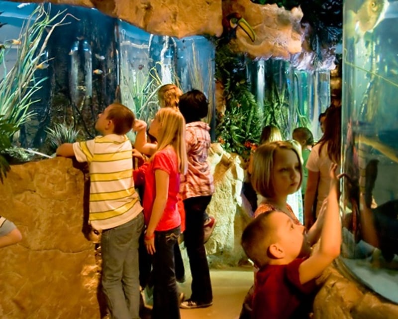 Guided Aquarium Tour in Kemah