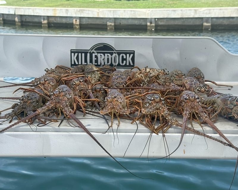 Private Lobster Snorkeling Charter in Islamorada