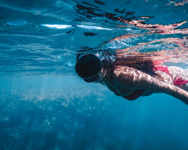 Daytime Snorkeling Trip in West End, Roatan