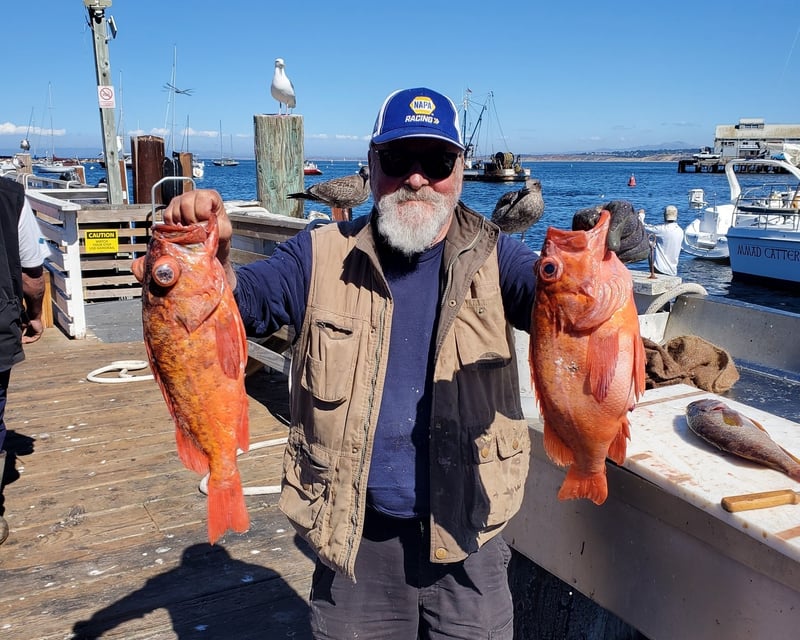 Deep Sea Rock Cod & Ling Cod Fishing in Monterey Bay
