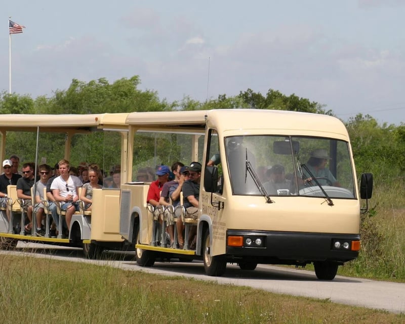 15-Mile Everglades Tram Tour at Shark Valley