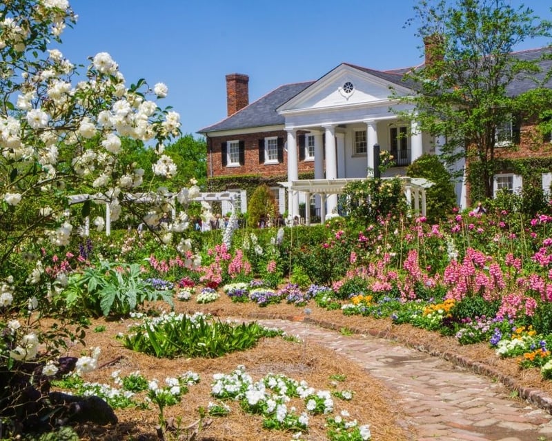 Charleston Boone Hall Black History Guided Tour