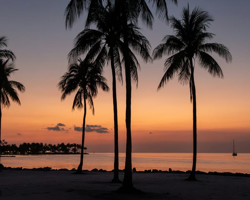 Private Sandbar & Sunset Cruise in Key West