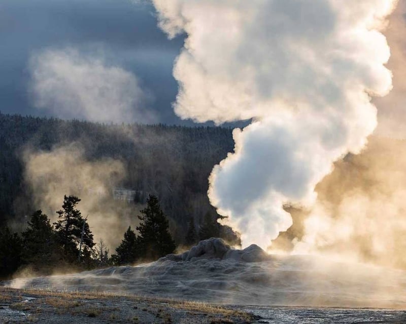 Yellowstone Old Faithful & Wildlife Day Tour from Jackson