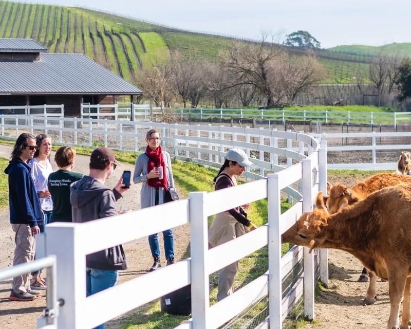 Guided Farm Animal Sanctuary Walking Tour in Sonoma