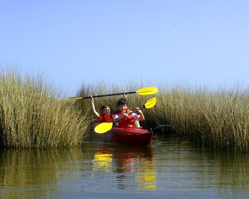 Pine Island Audubon Sanctuary Kayak Tour