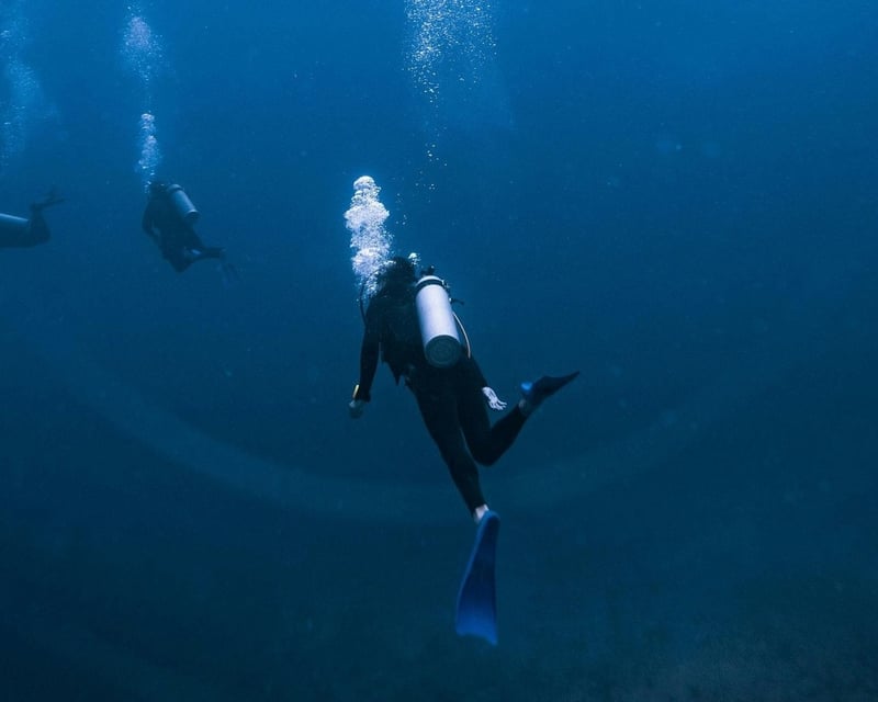 Pensacola Mid-Shore 2-Tank Dive