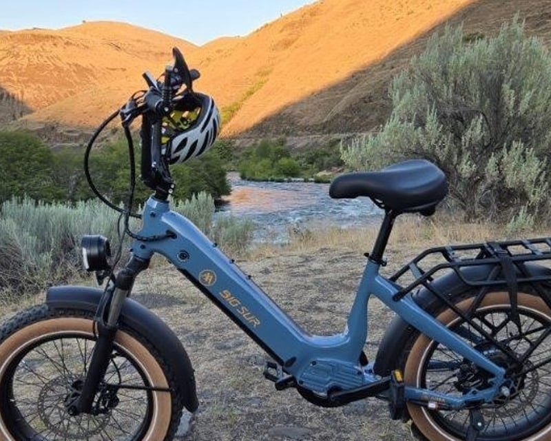 1-Hour E-Bike Rental in Maupin