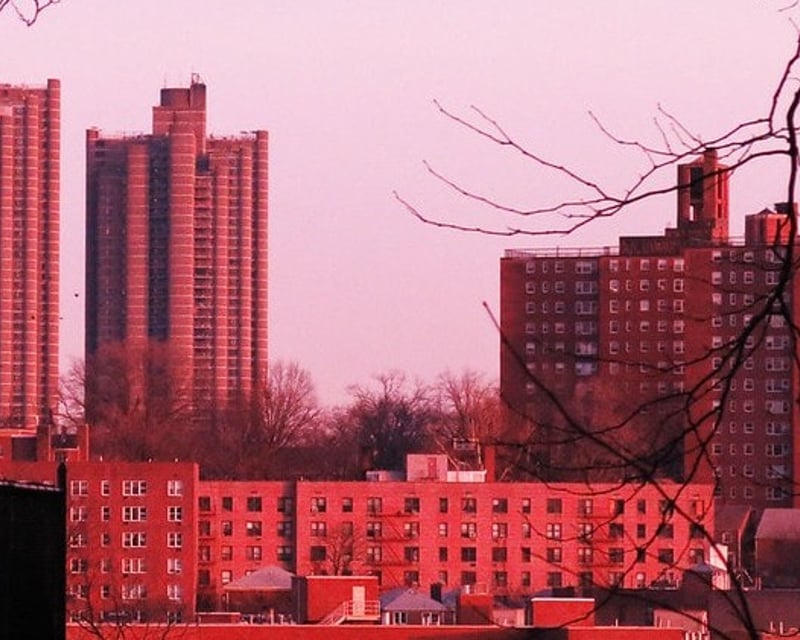 Bronx Walking Tour with Yankee Stadium & Joker Steps
