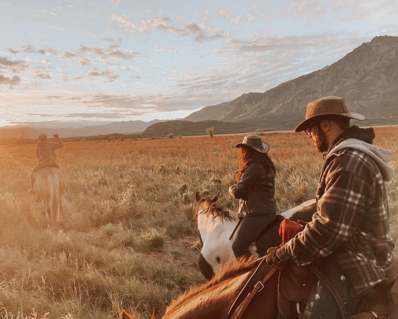 Private 1.5-Hour Horseback Trail Ride in Palmer