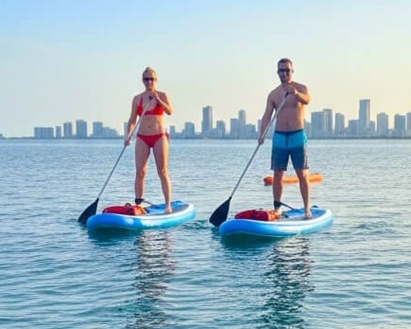 Paddleboard Rental with Delivery in Miami Beach