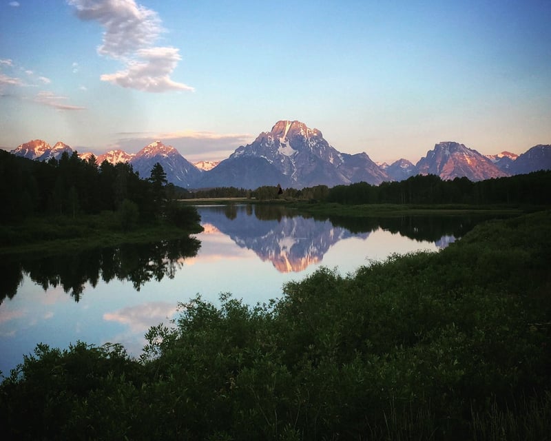 Private Grand Teton National Park Wildlife Tour