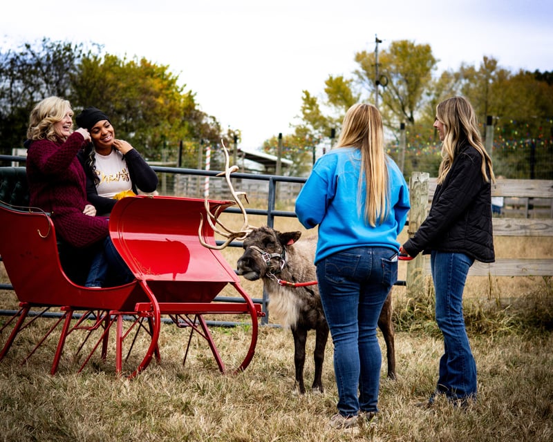 Wine Tasting & Reindeer Encounter in Bowling Green