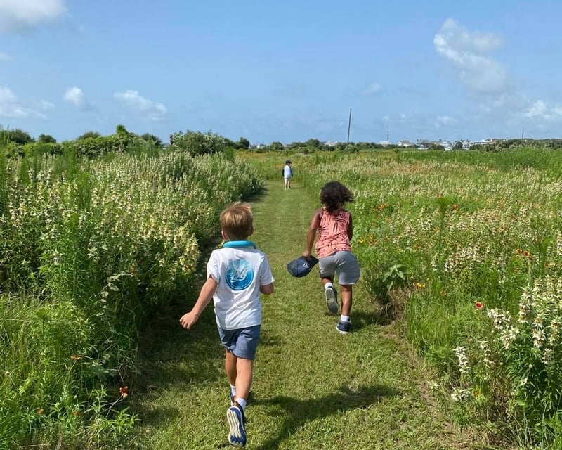 Spring Migration Birding & Nature Walk in Galveston
